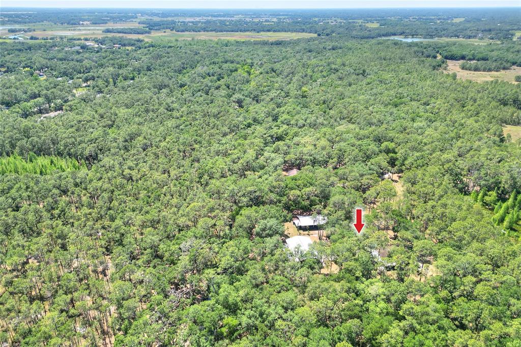 4846 Knights Station Road Lakeland, FL 33810 - Photo 48 of 49 a view of a green field with lots of bushes