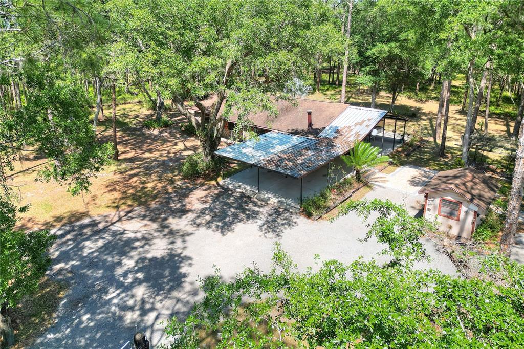 4846 Knights Station Road Lakeland, FL 33810 - Photo 7 of 49 a view of a backyard with plants and a patio