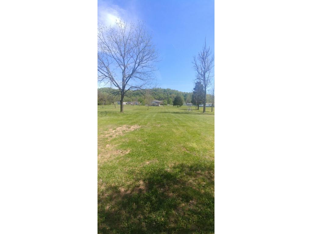 251 Price Road Elizabethton, TN 37643 - Photo 34 of 36 back yard