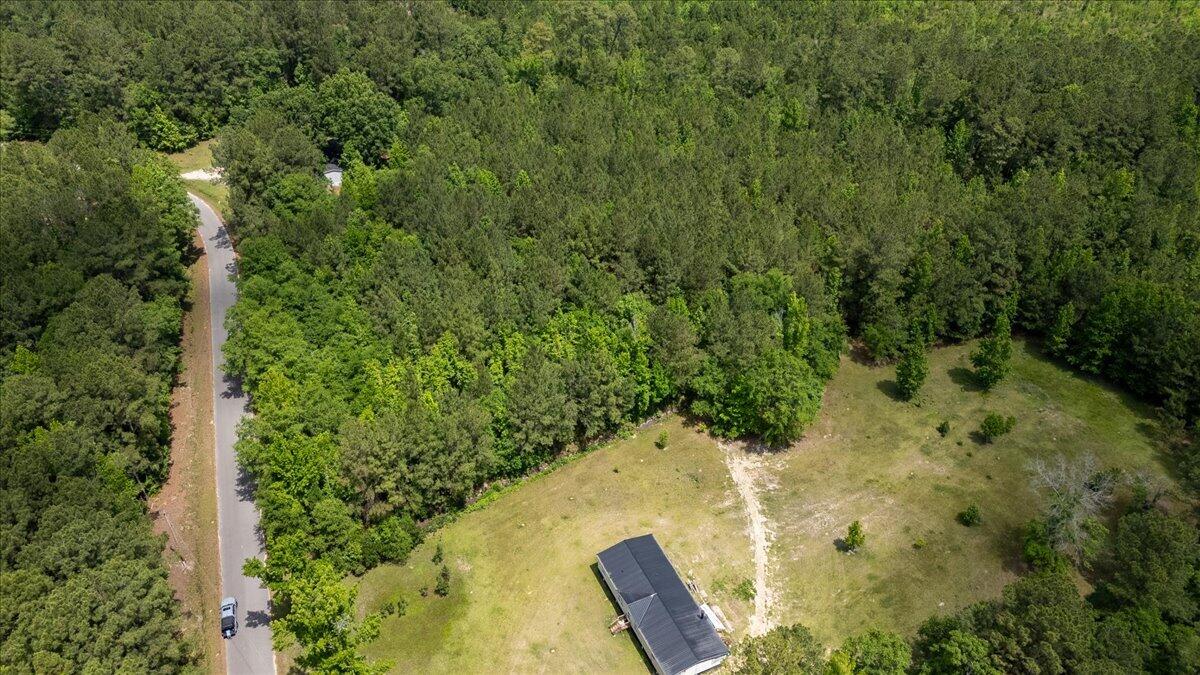 0 Deneaux Road Rowesville, SC 29133 - Photo 40 of 43 40-Deneaux-30