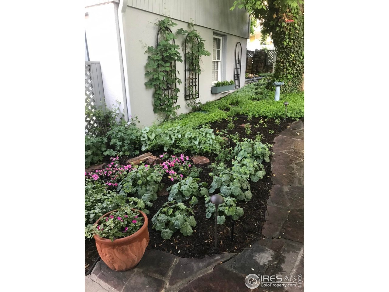 839 13th Street Boulder, CO 80302 - Photo 40 of 50 Spring photo