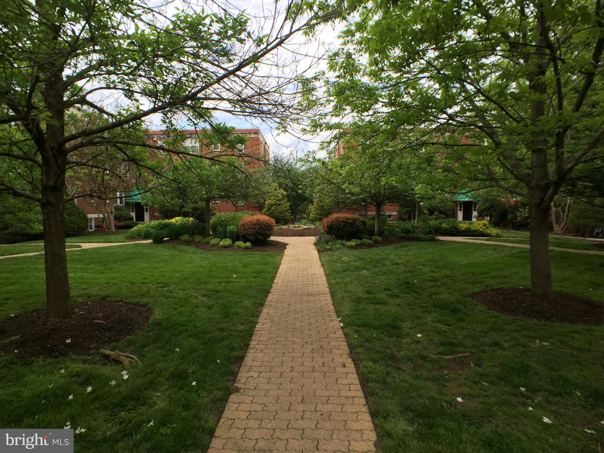 30 South Old Glebe Road, Unit 302E Arlington, VA 22204 - Photo 17 of 21 a view of park with tree s