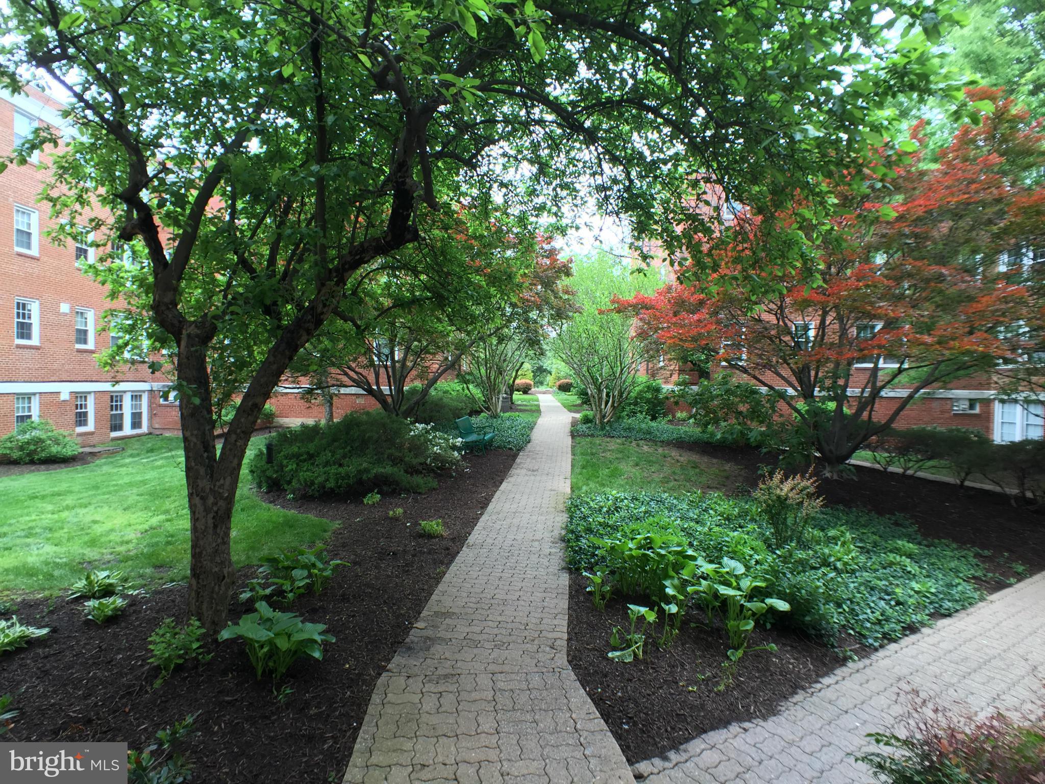 30 South Old Glebe Road, Unit 302E Arlington, VA 22204 - Photo 18 of 21 a view of a pathway both side of yard