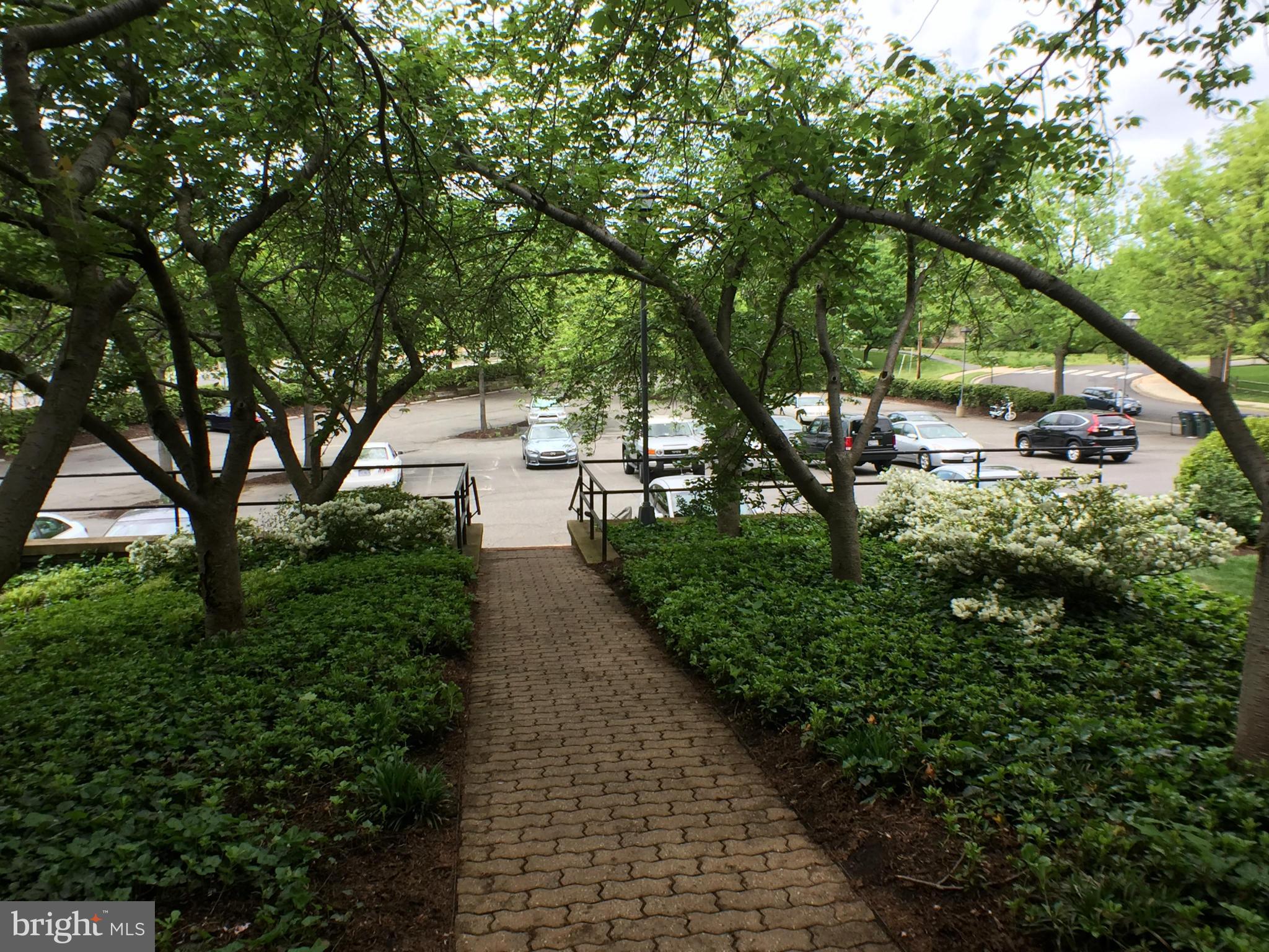 30 South Old Glebe Road, Unit 302E Arlington, VA 22204 - Photo 21 of 21 a backyard of a house with lots of green space