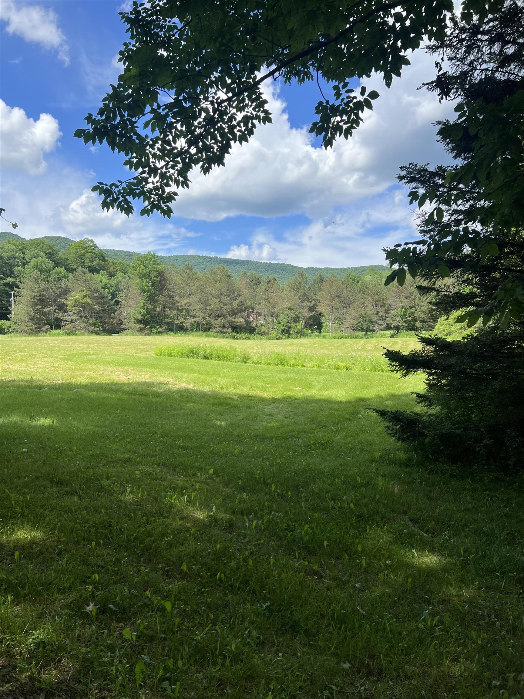 2740 Sandgate Road Sandgate, VT 05250 - Photo 4 of 19