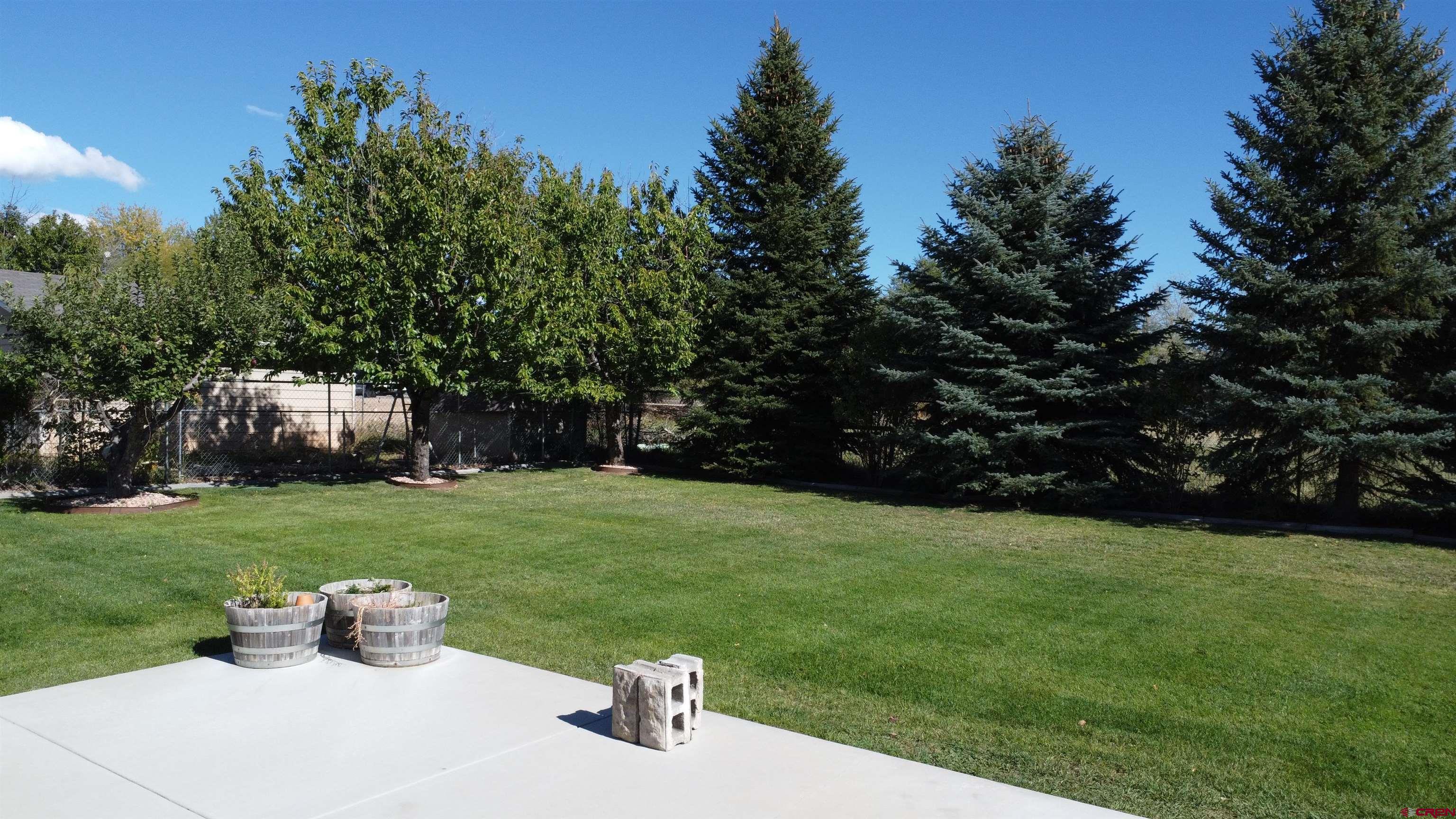 215 Southwest 8th Circle Cedaredge, CO 81413 - Photo 11 of 30 a white house with a yard