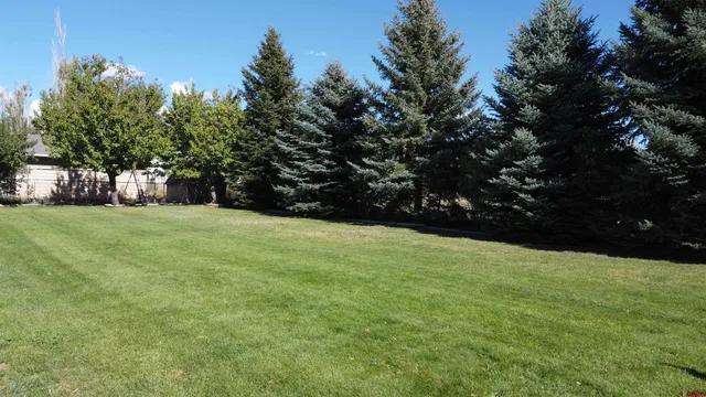 a view of an outdoor space and yard