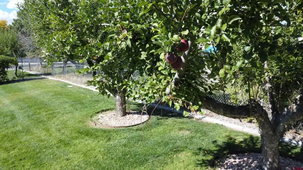 $495,000 | 215 Southwest 8th Circle, Cedaredge, CO 81413