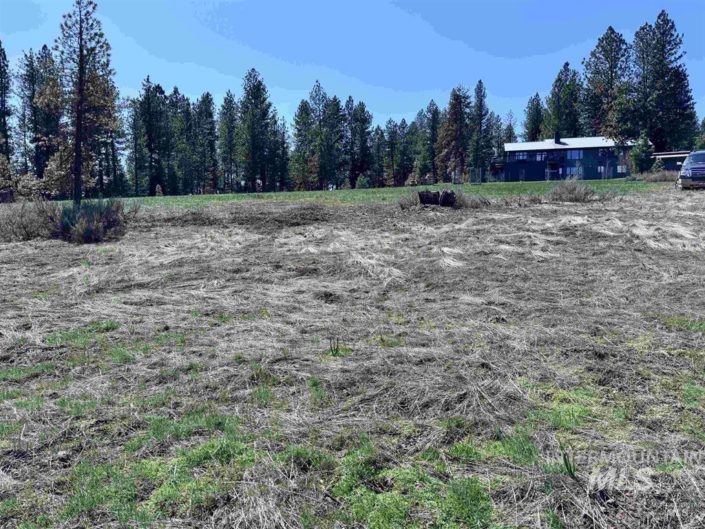 Lot 19 Hot Springs Road New Meadows, ID 83654 - Photo 1 of 28