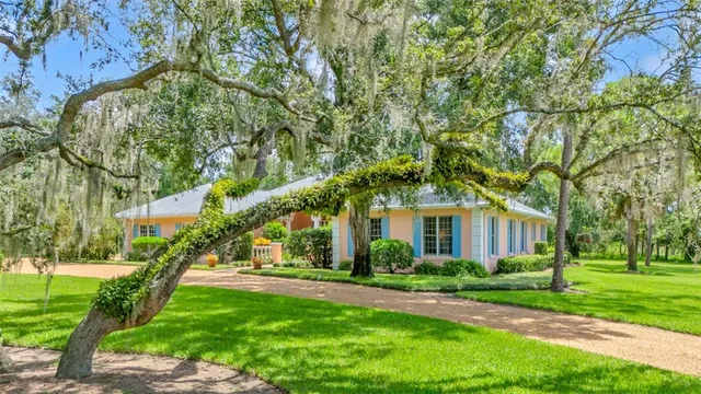 a view of road with large trees