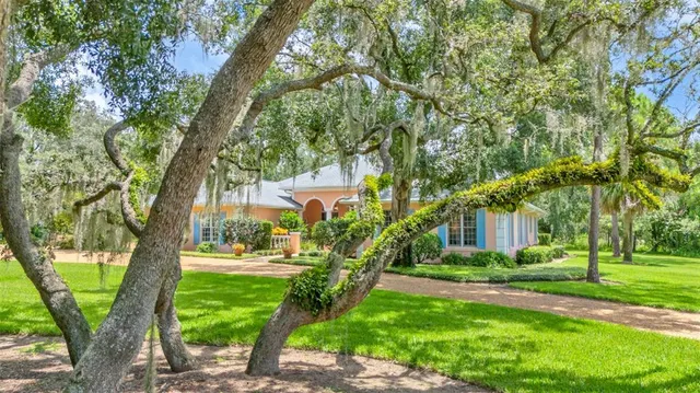 a view of a park with large trees