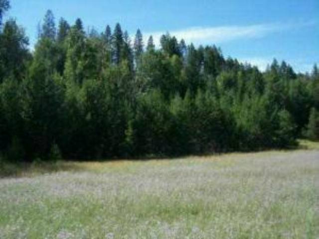 Lot 8 Greenhouse Road Ione, WA 99139 - Photo 2 of 11