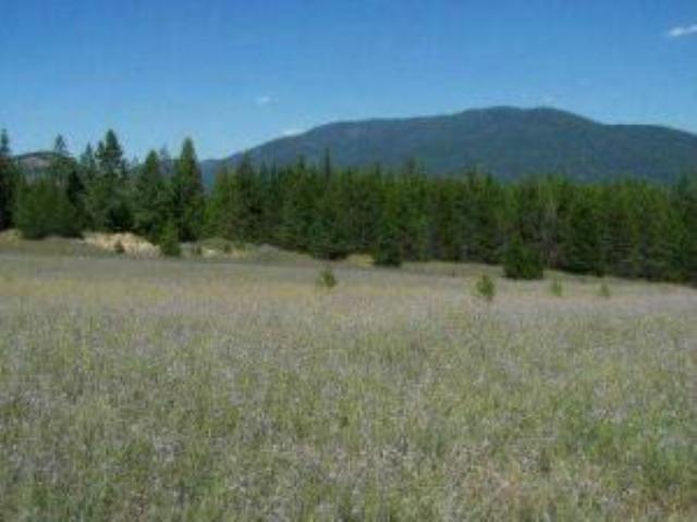 Lot 8 Greenhouse Road Ione, WA 99139 - Photo 3 of 11