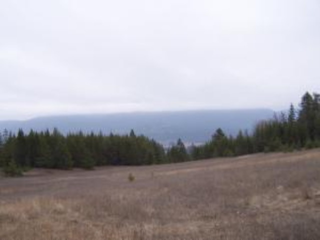 Lot 8 Greenhouse Road Ione, WA 99139 - Photo 4 of 11