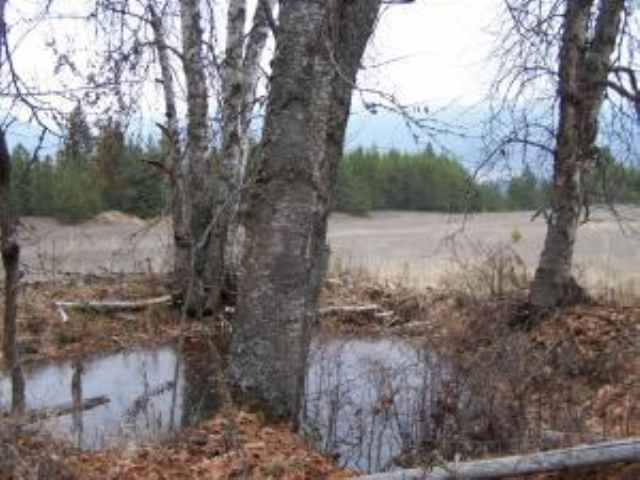 Lot 8 Greenhouse Road Ione, WA 99139 - Photo 7 of 11