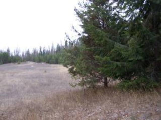 Lot 8 Greenhouse Road Ione, WA 99139 - Photo 8 of 11