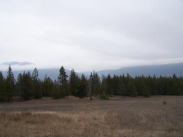 Lot 8 Greenhouse Road Ione, WA 99139 - Photo 9 of 11