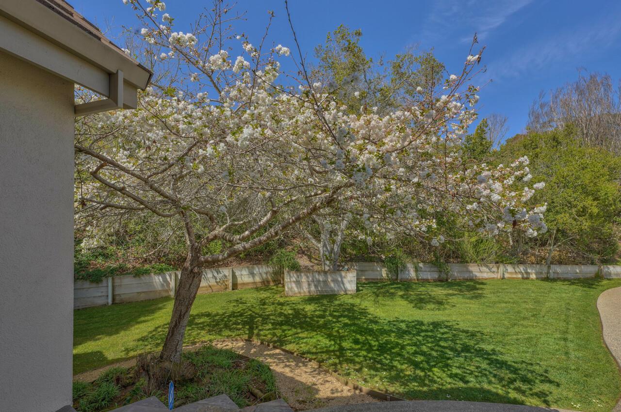 18447 Meadow Ridge Road Salinas, CA 93907 - Photo 8 of 55 Gallery Image 8