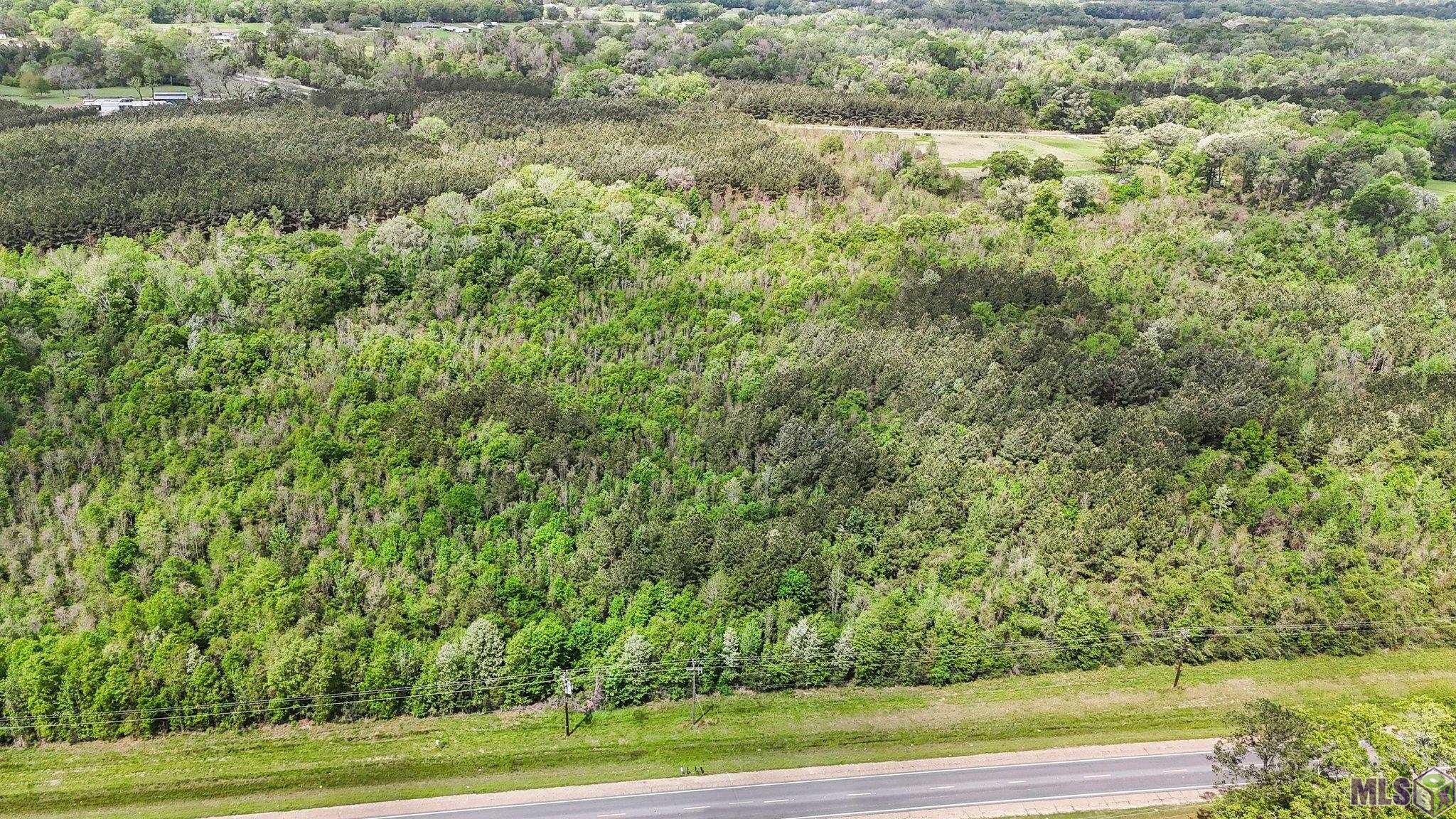 Tbd Plank Road Zachary, LA 70791 - Photo 2 of 4