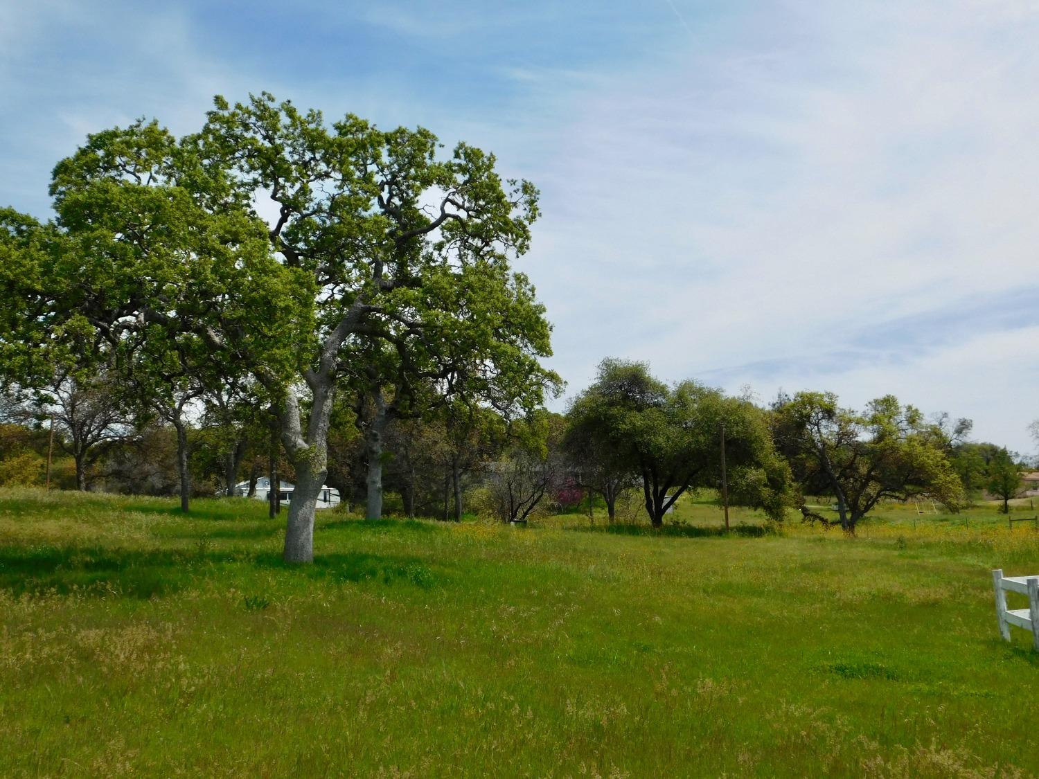 44630 Foxtail Road Coarsegold, CA 93614 - Photo 9 of 15 Gallery Image 9