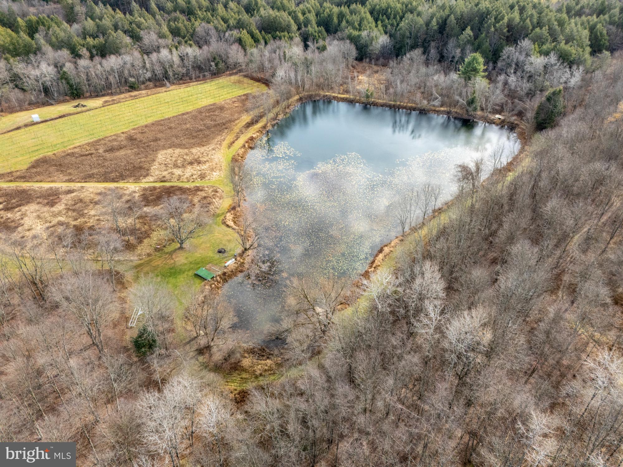 48 T-539 Waymart, PA 18472 - Photo 45 of 71