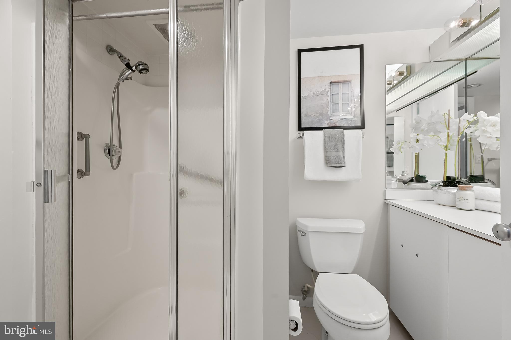 111 Hamlet Hill Road, Unit 808 Baltimore, MD 21210 - Photo 29 of 51 Second Bathroom