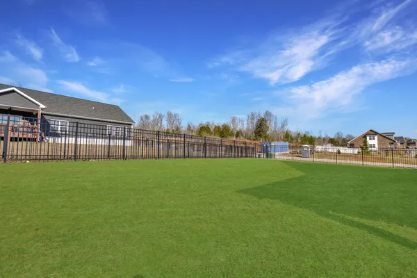 a view of a green field