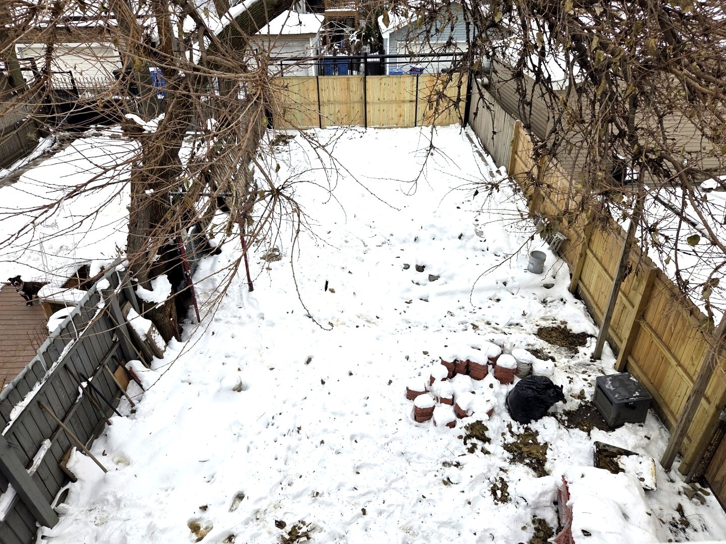 6324 South Francisco Avenue Chicago, IL 60629 - Photo 4 of 25 a view of a yard