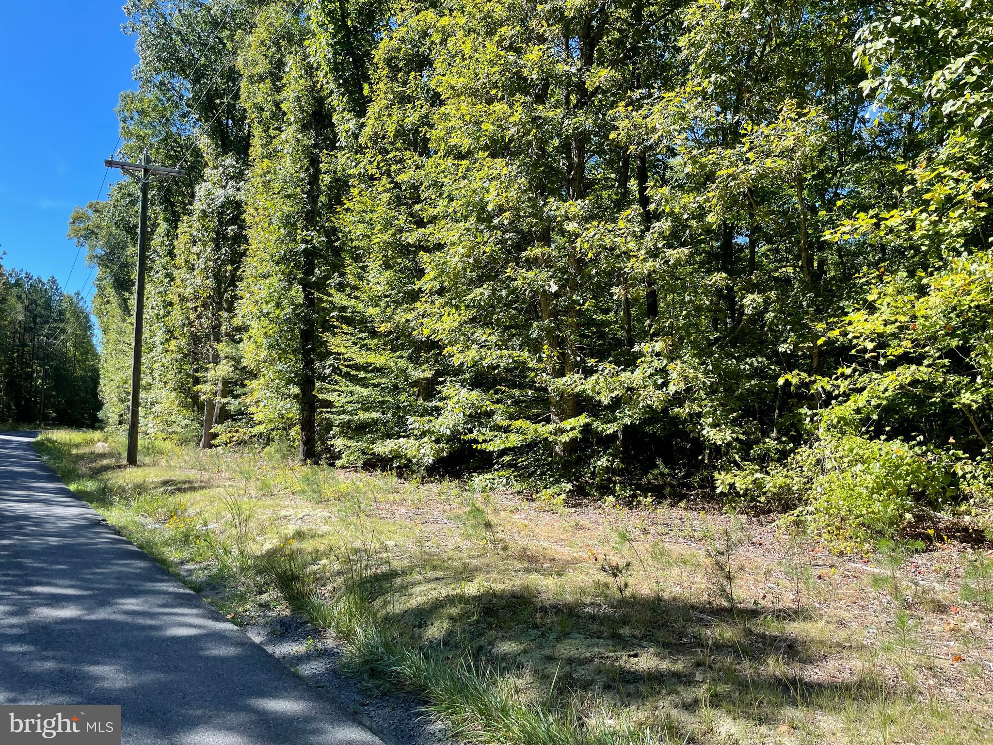 Lot 1 Edwards Shop Road Elkwood, VA 22718 - Photo 5 of 6
