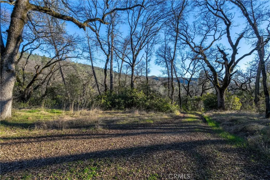 0 Crown Point Road Magalia, CA 95954 - Photo 27 of 39 a view of backyard
