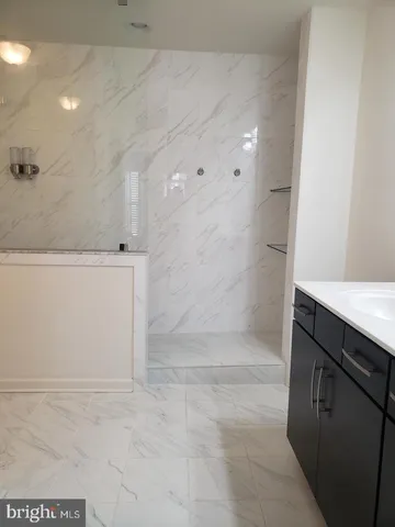 a bathroom with a sink and a shower