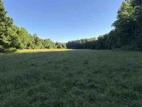 7117 Old Mill Creek Road Lyles, TN 37098 - Photo 13 of 21 Gallery Image 13
