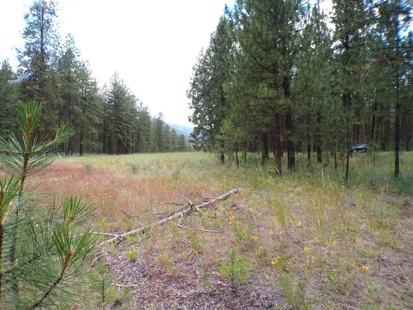 $70,000 | 1213 Fumi Circle, Kettle Falls, WA 99141