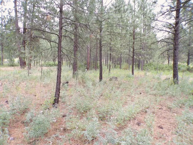 $70,000 | 1213 Fumi Circle, Kettle Falls, WA 99141