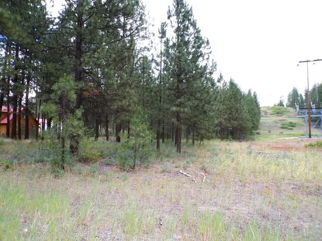 $70,000 | 1213 Fumi Circle, Kettle Falls, WA 99141