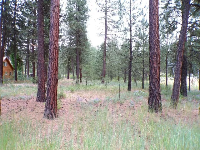 $70,000 | 1213 Fumi Circle, Kettle Falls, WA 99141