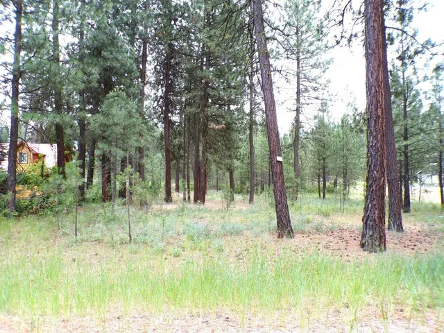 $70,000 | 1213 Fumi Circle, Kettle Falls, WA 99141