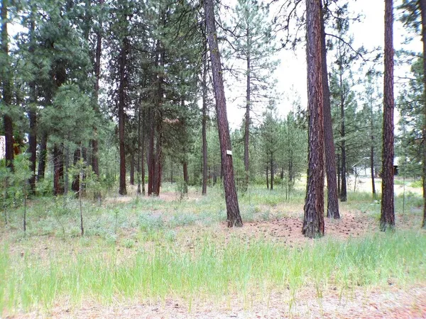 $70,000 | 1213 Fumi Circle, Kettle Falls, WA 99141