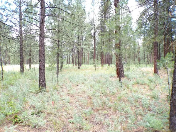 $70,000 | 1213 Fumi Circle, Kettle Falls, WA 99141
