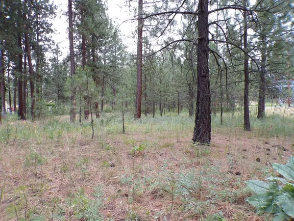 $70,000 | 1213 Fumi Circle, Kettle Falls, WA 99141