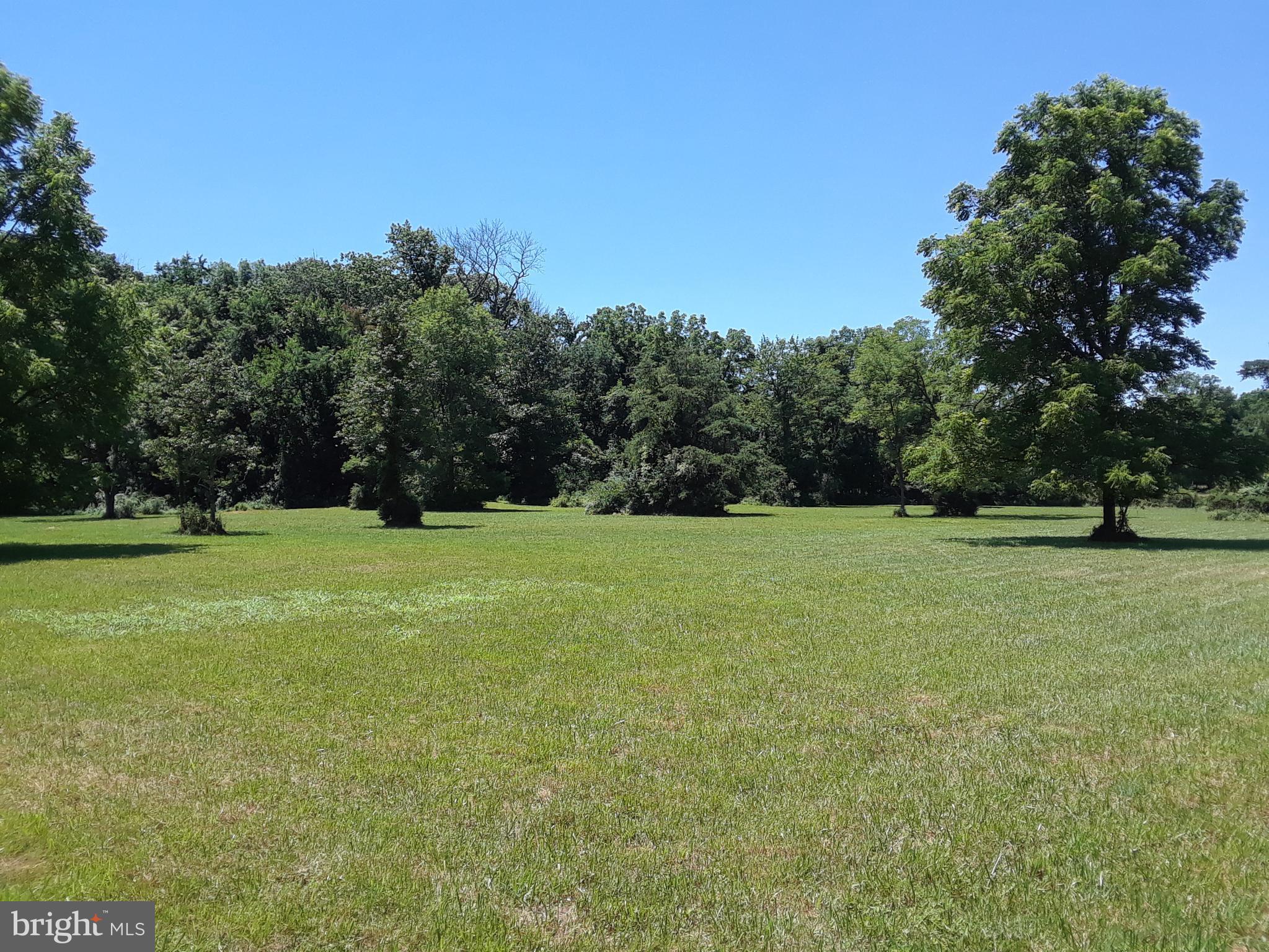 9 Moose Road Berryville, VA 22611 - Photo 1 of 8 a view of field with trees in the background