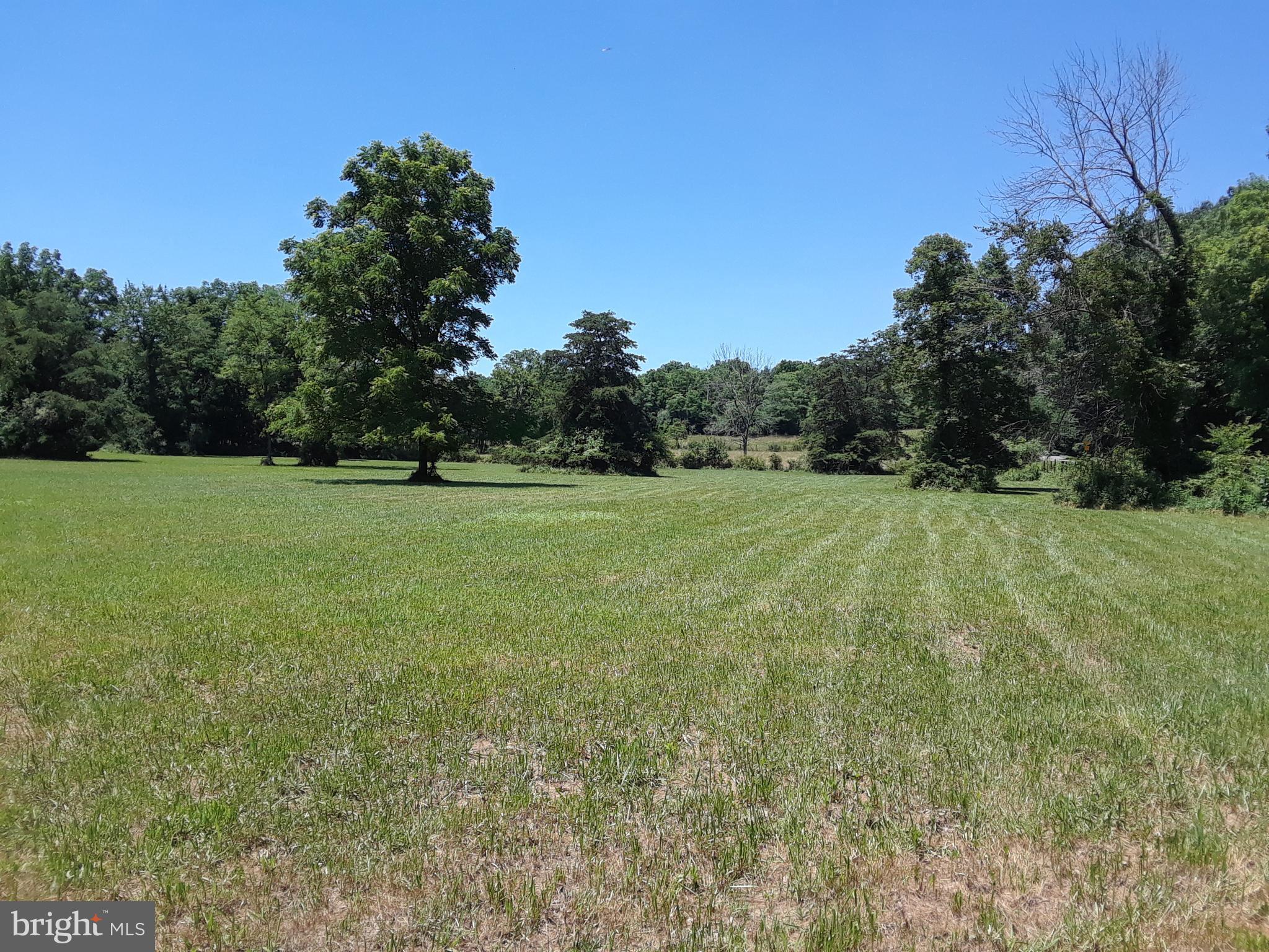 9 Moose Road Berryville, VA 22611 - Photo 2 of 8 a view of a field with trees in the background