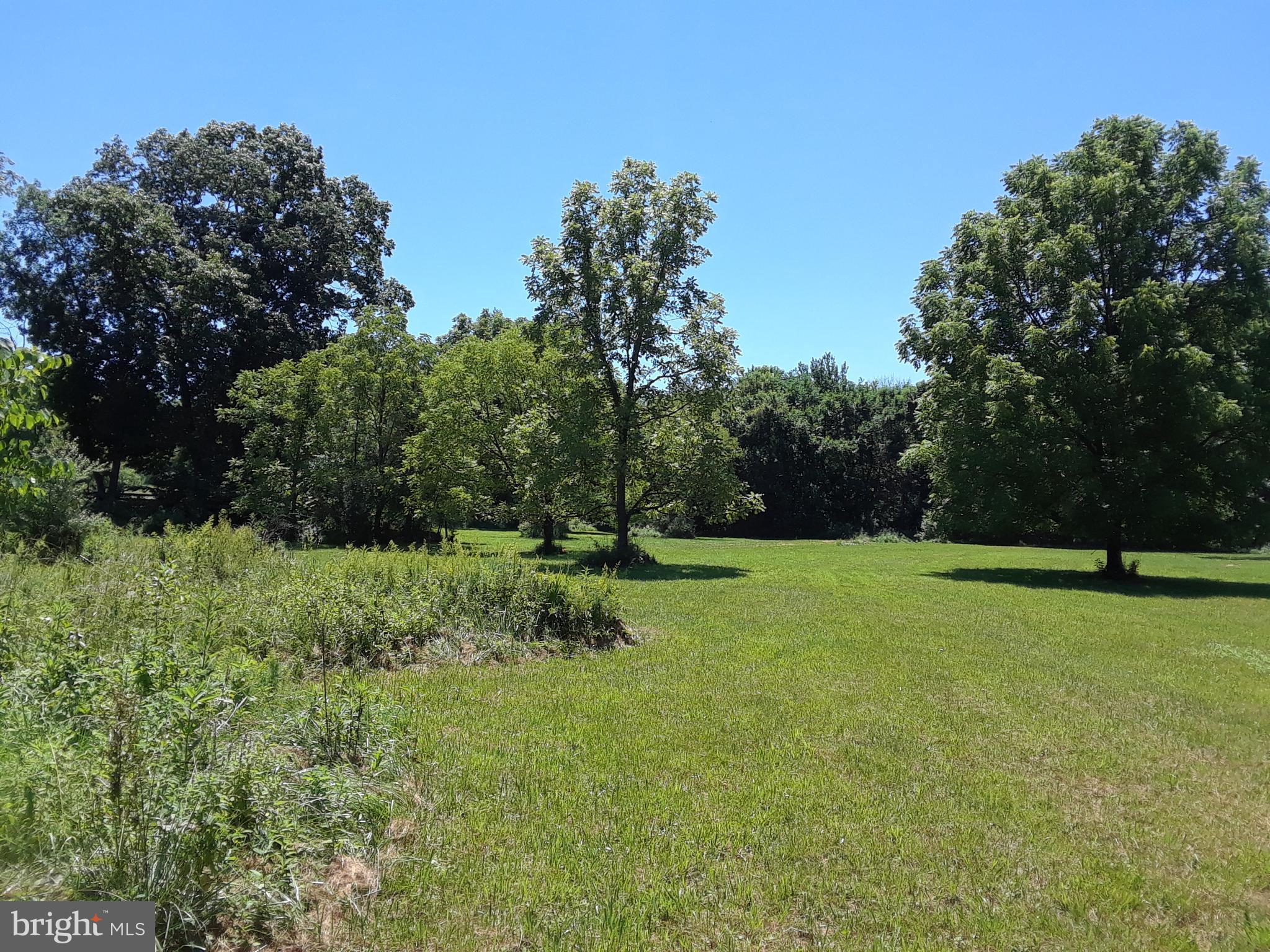9 Moose Road Berryville, VA 22611 - Photo 3 of 8 a view of outdoor space and yard