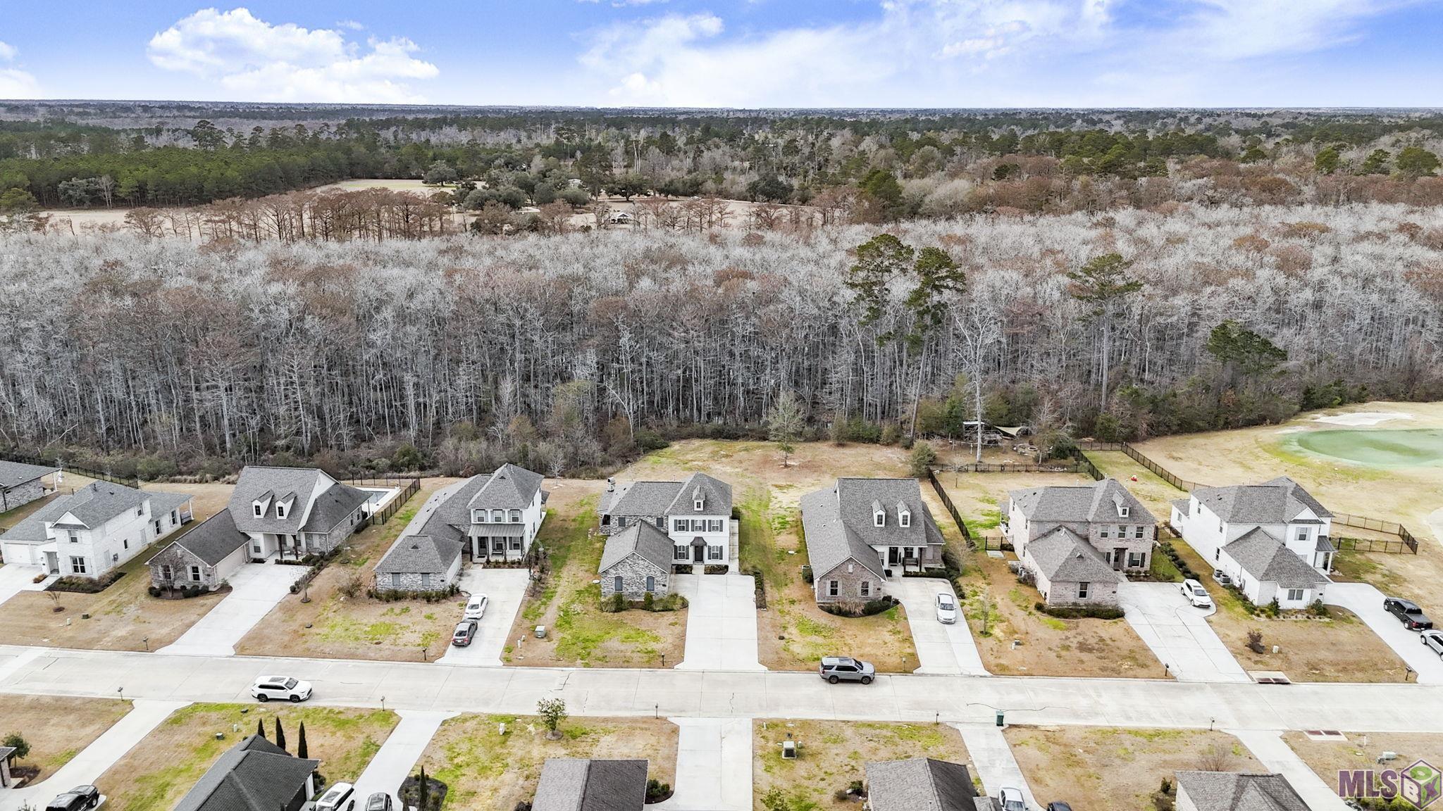 23373 Cypress Cove Springfield, LA 70462 - Photo 39 of 51