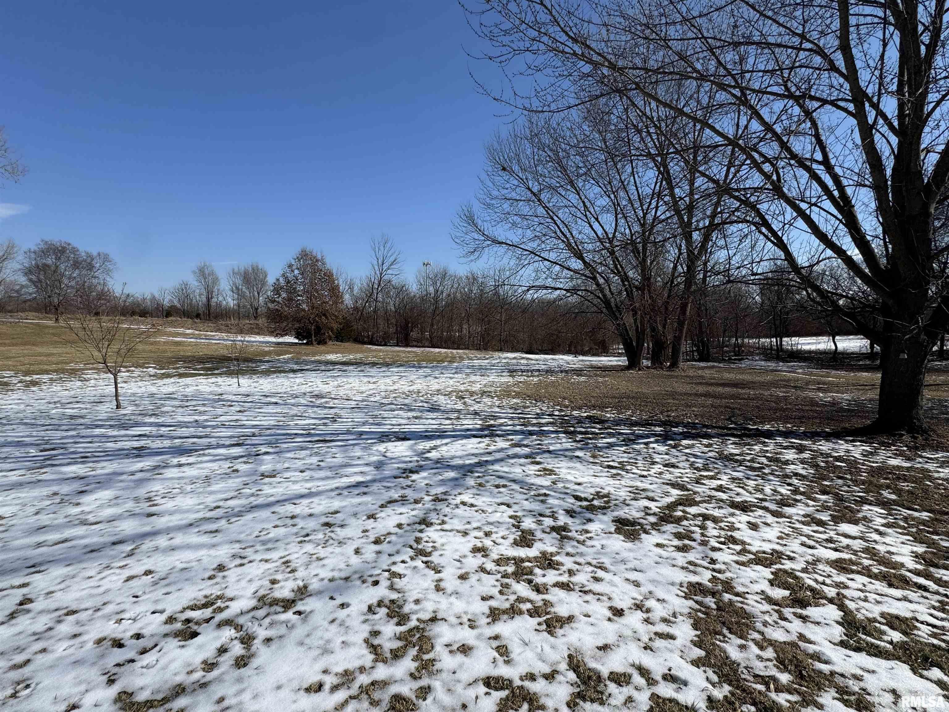 4140 Selfick Lane Springfield, IL 62702 - Photo 64 of 65