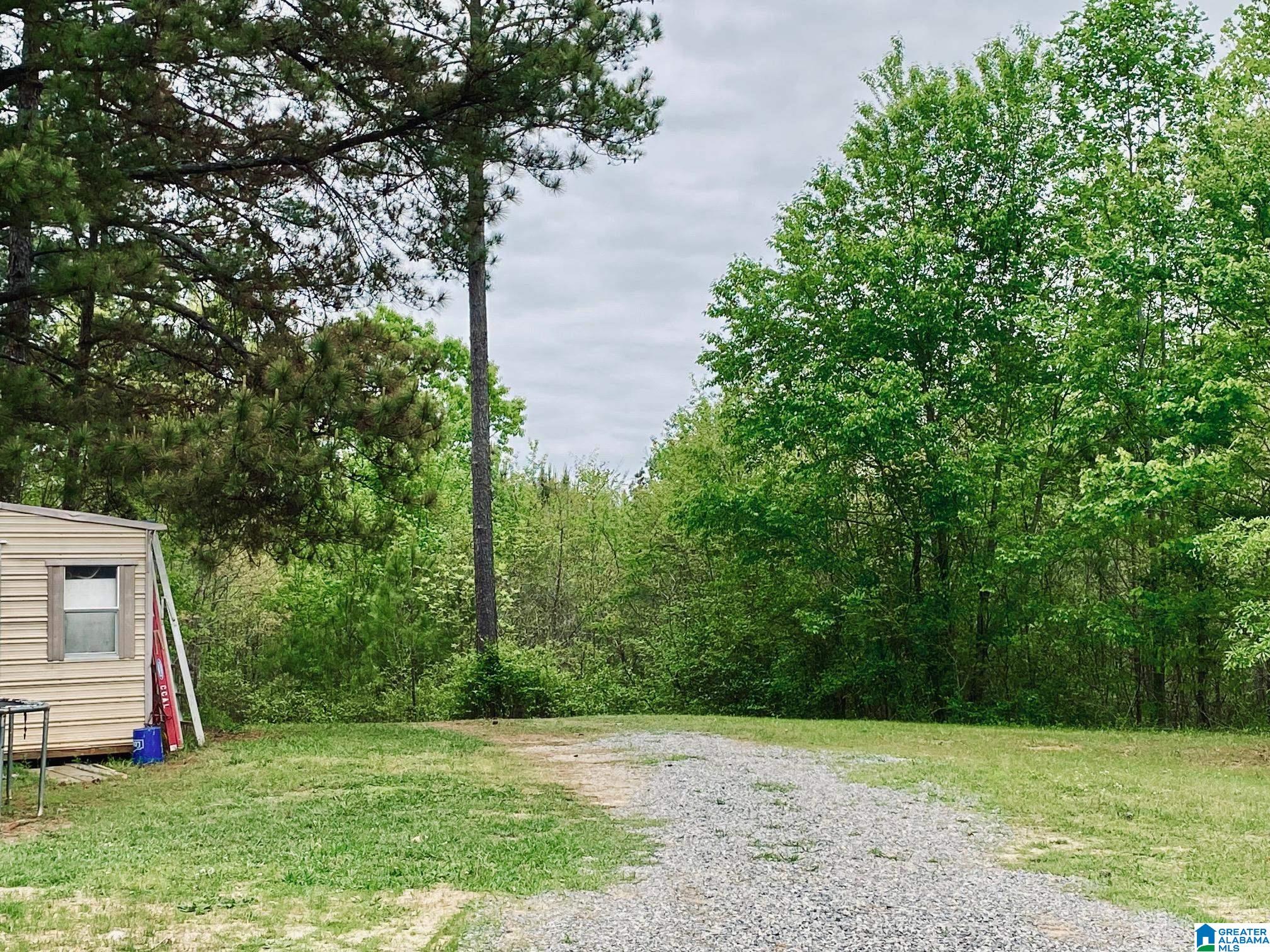 397 County Road 27 Heflin, AL 36264 - Photo 7 of 26