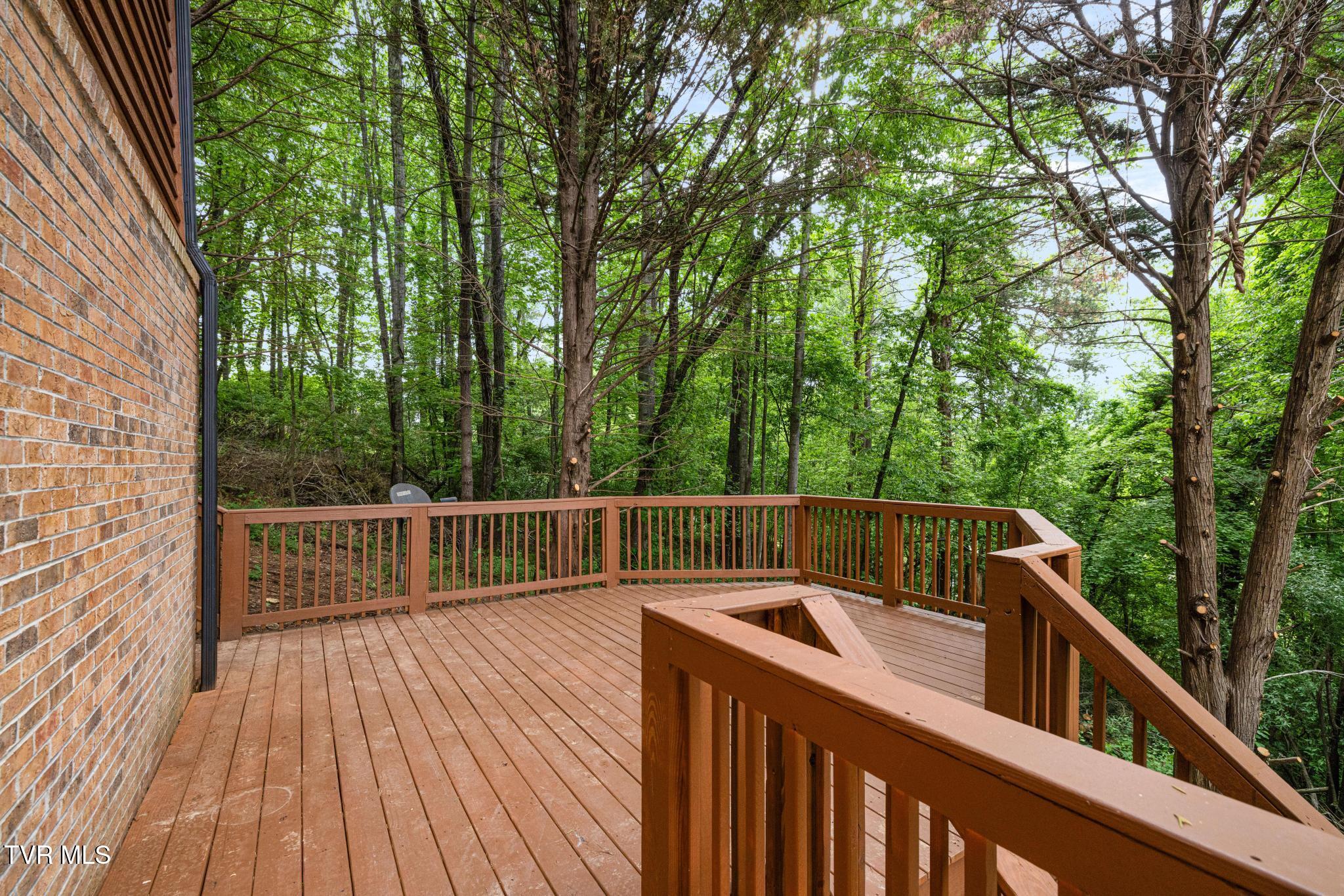 143 Horton Ridge Road Erwin, TN 37650 - Photo 53 of 60 IMG_2586