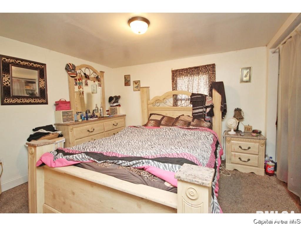 2910 South 13th Street Springfield, IL 62703 - Photo 21 of 25