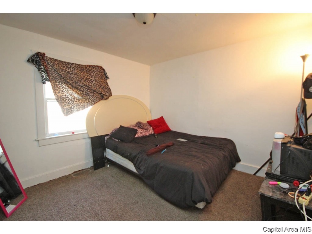 2910 South 13th Street Springfield, IL 62703 - Photo 23 of 25