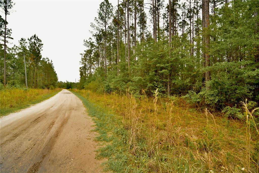 Sweet Gum Road Glen St. Mary, FL 32040 - Photo 7 of 44